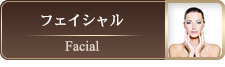 フェイシャルメニュー