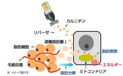 エポレックス画像